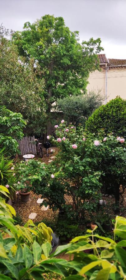 Villa Fontilha Usclas-l'Herault Kültér fotó